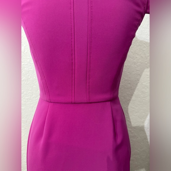 Rebecca Taylor Pink Fuchsia Cap Sleeve Front Zip Cocktail Dress Size 2 Gorgeous - Picture 10 of 13